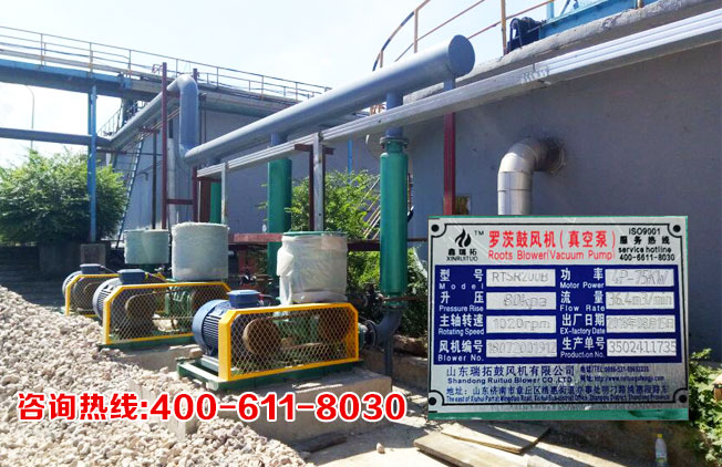 �A�|����---�P��***�~(y��)�ۏS