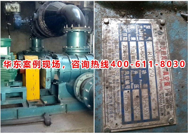 �A�|����---����ʡ���(y��ng)�h****���޹�˾